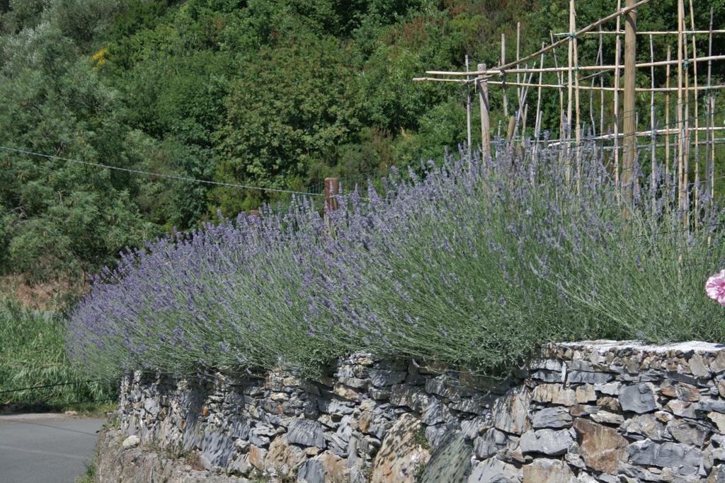 Bed and Breakfast Ca De Pria Casarza Ligure Zewnętrze zdjęcie